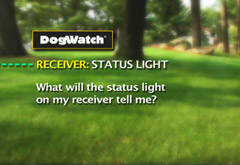 What will the status light on my on my receiver tell me?